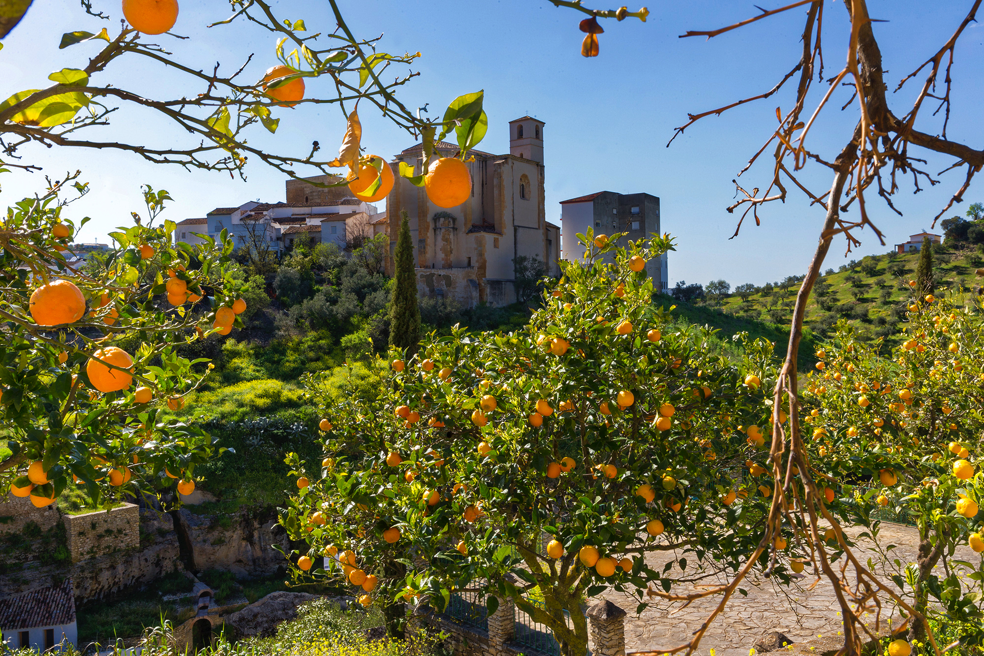 Setenil - Un village blanc pris dans les roches